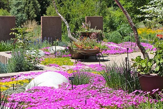 Denver Botanic Gardens For Groups Destination Colorado